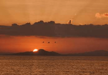 Ocean Sunset