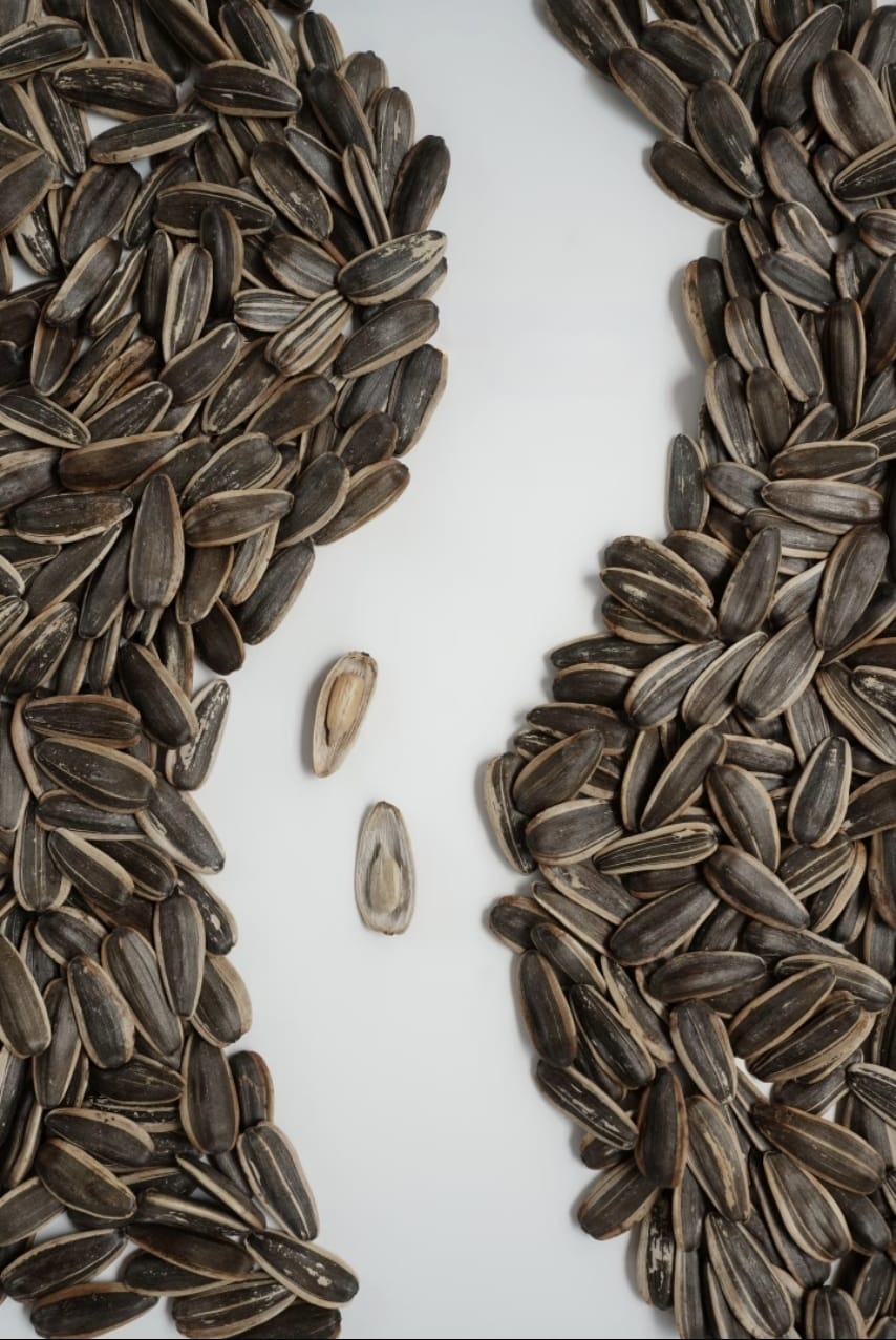 Seed Patterns